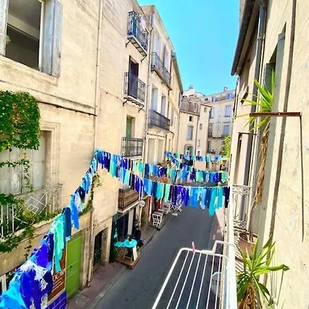 Beautiful Duplex Historic Center Air Conditioning * モンペリエ